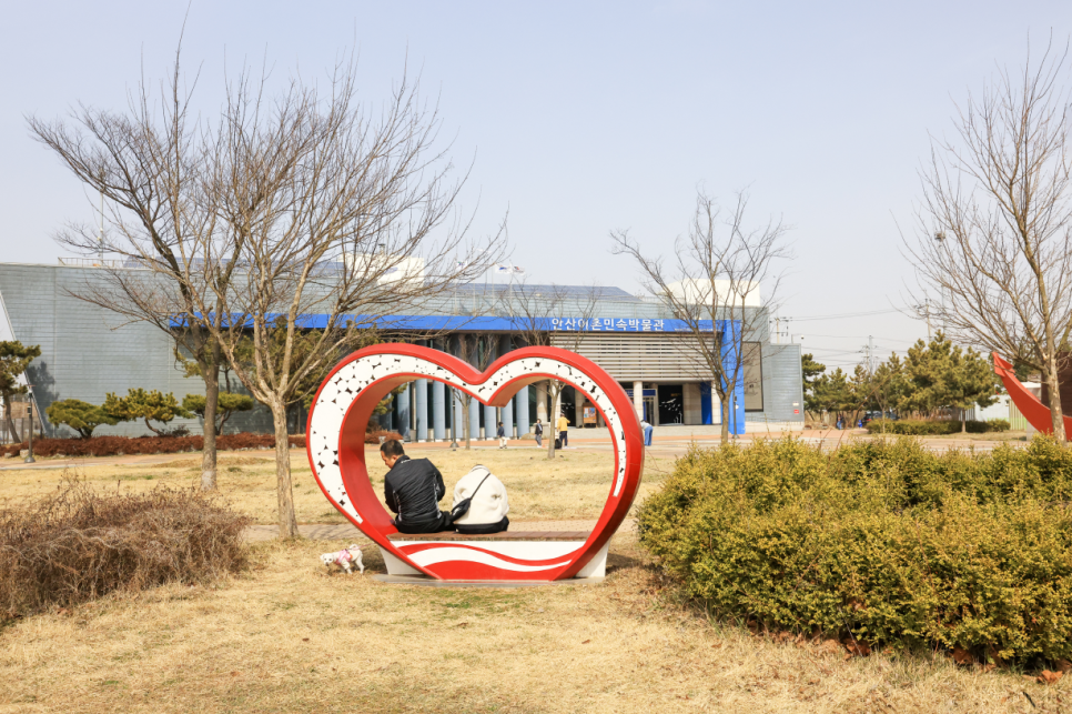 탄도수산물직판장 이미지