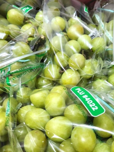 우리마켓 이미지