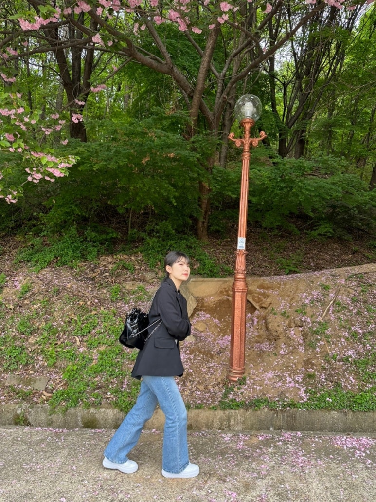 빛이물들다 이미지