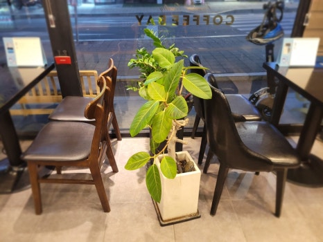 커피베이 호평늘을점 이미지