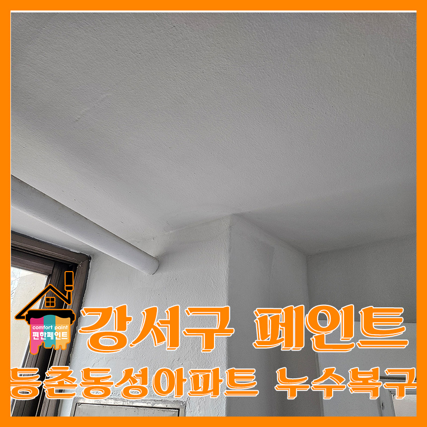 동성페인트 이미지