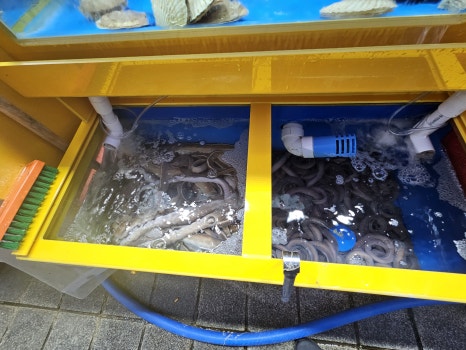 부산자갈치생선구이 이미지