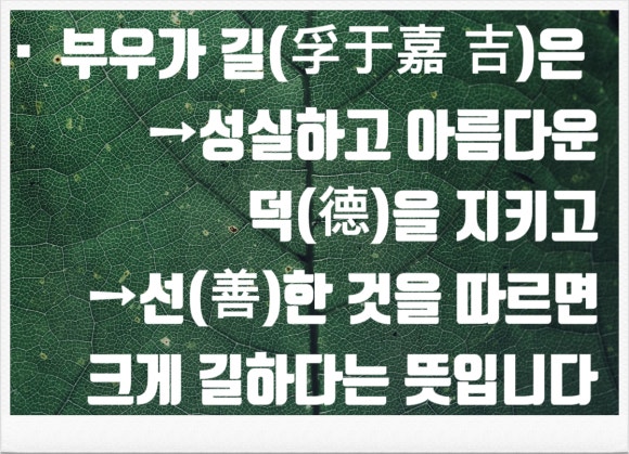 부효사 이미지