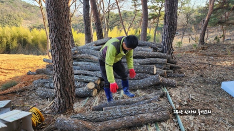 삼천포냉면 이미지