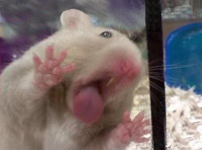 밀밭분식 이미지