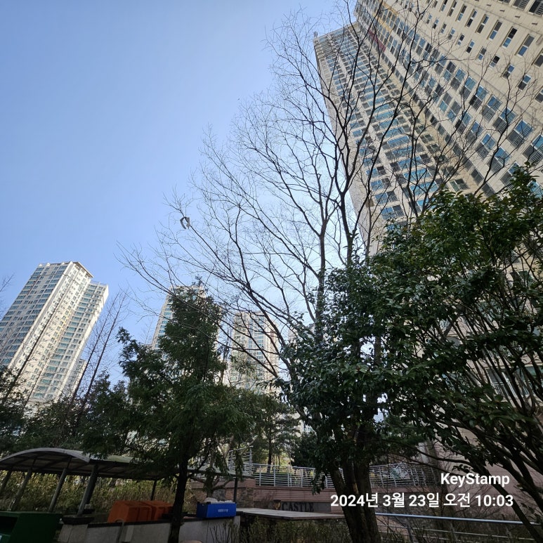 카이저화명마트 이미지