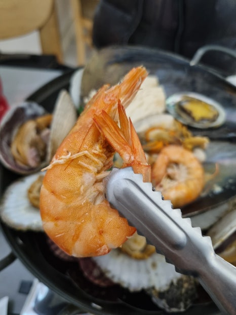 해초롱 이미지