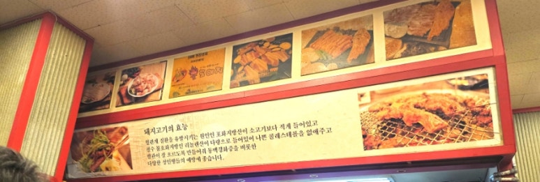 불도야지 이미지