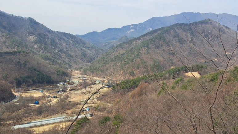 보생농원 이미지