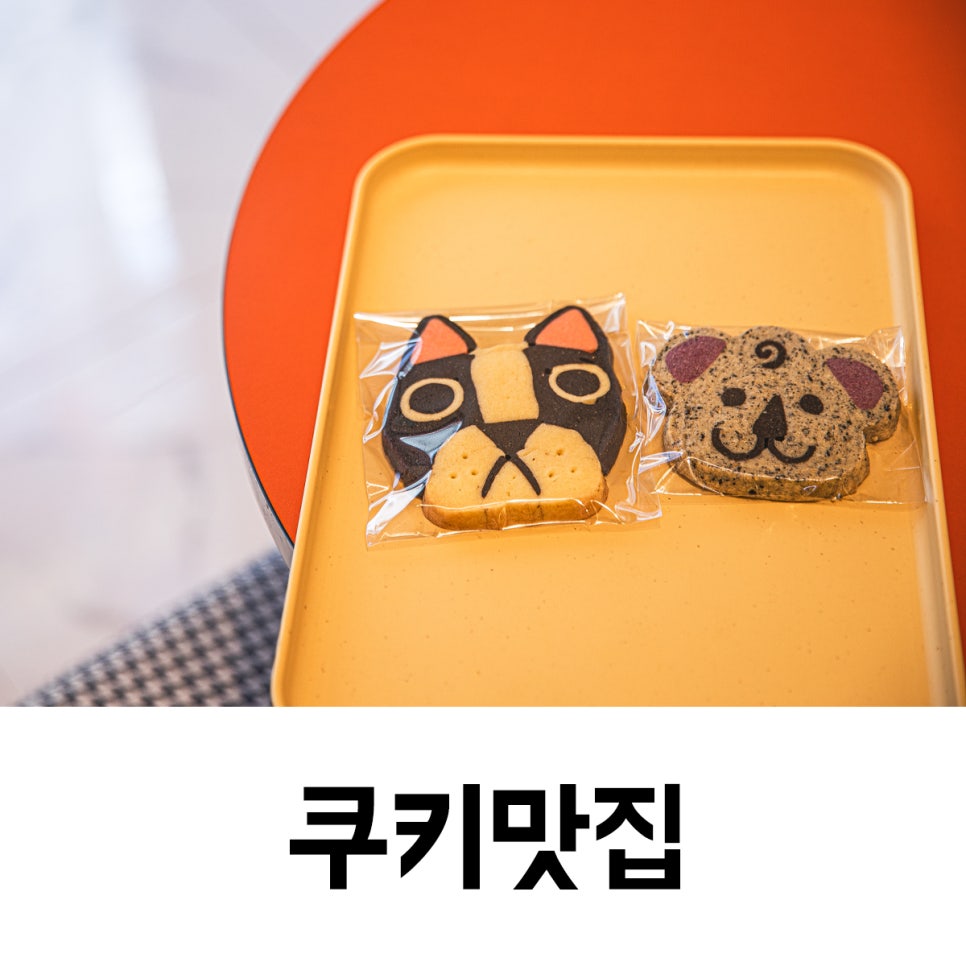 다르코봉봉 이미지