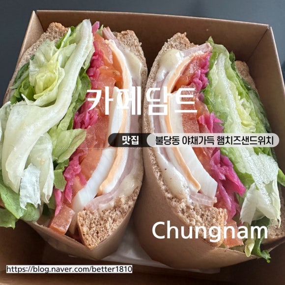 담트 이미지