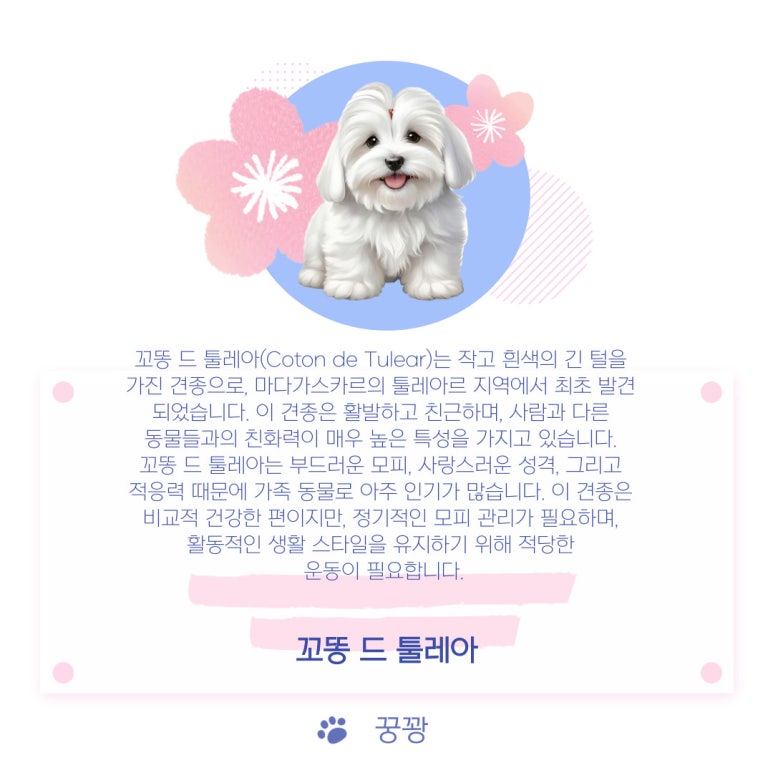 툴레아르Tulear 이미지