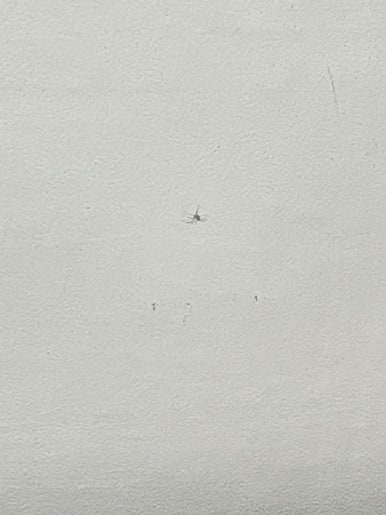 해날 이미지