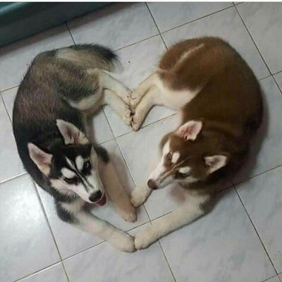 끝 장 이미지