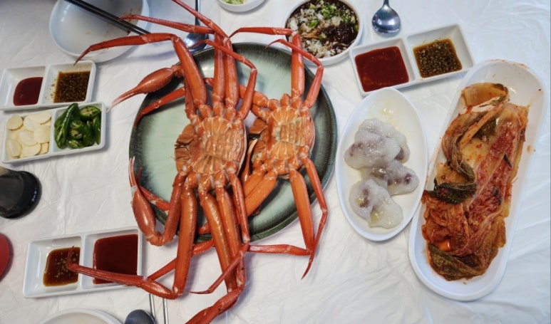 바다복어 이미지