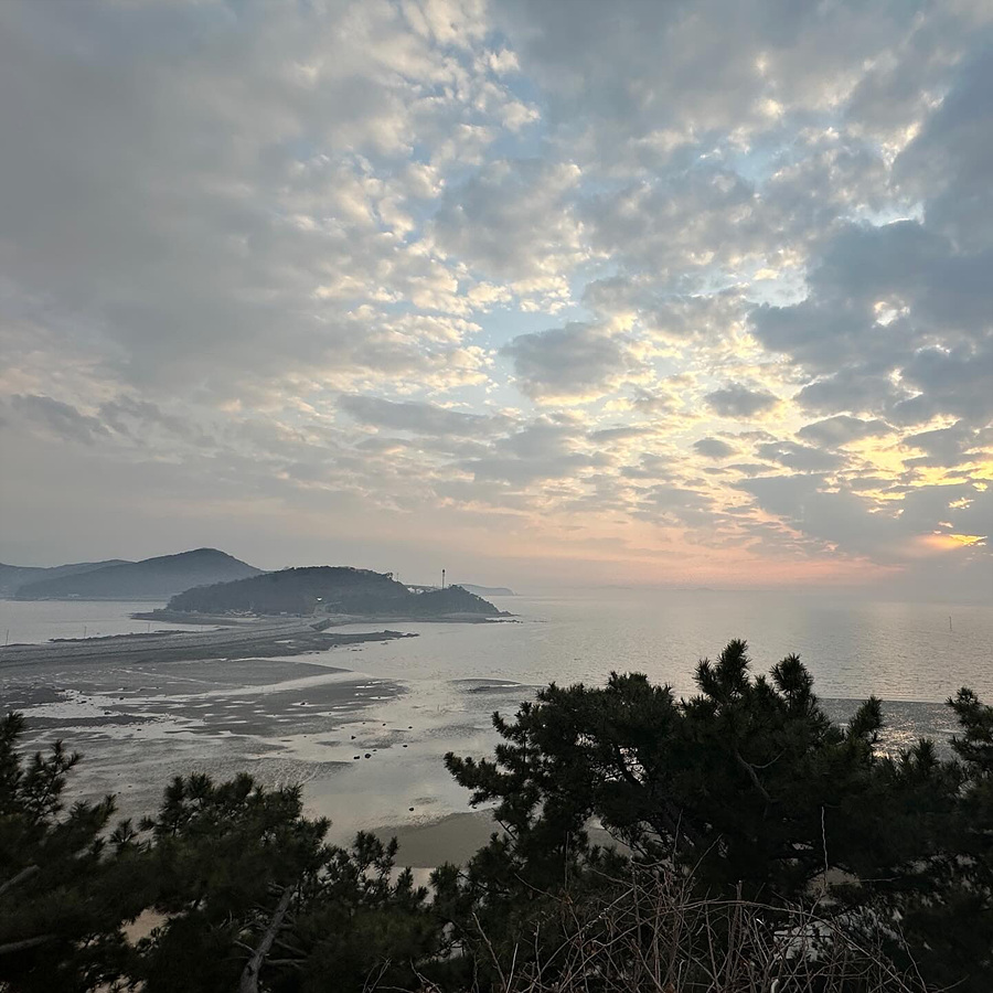 엠탁 이미지
