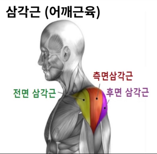 제이슨짐 이미지