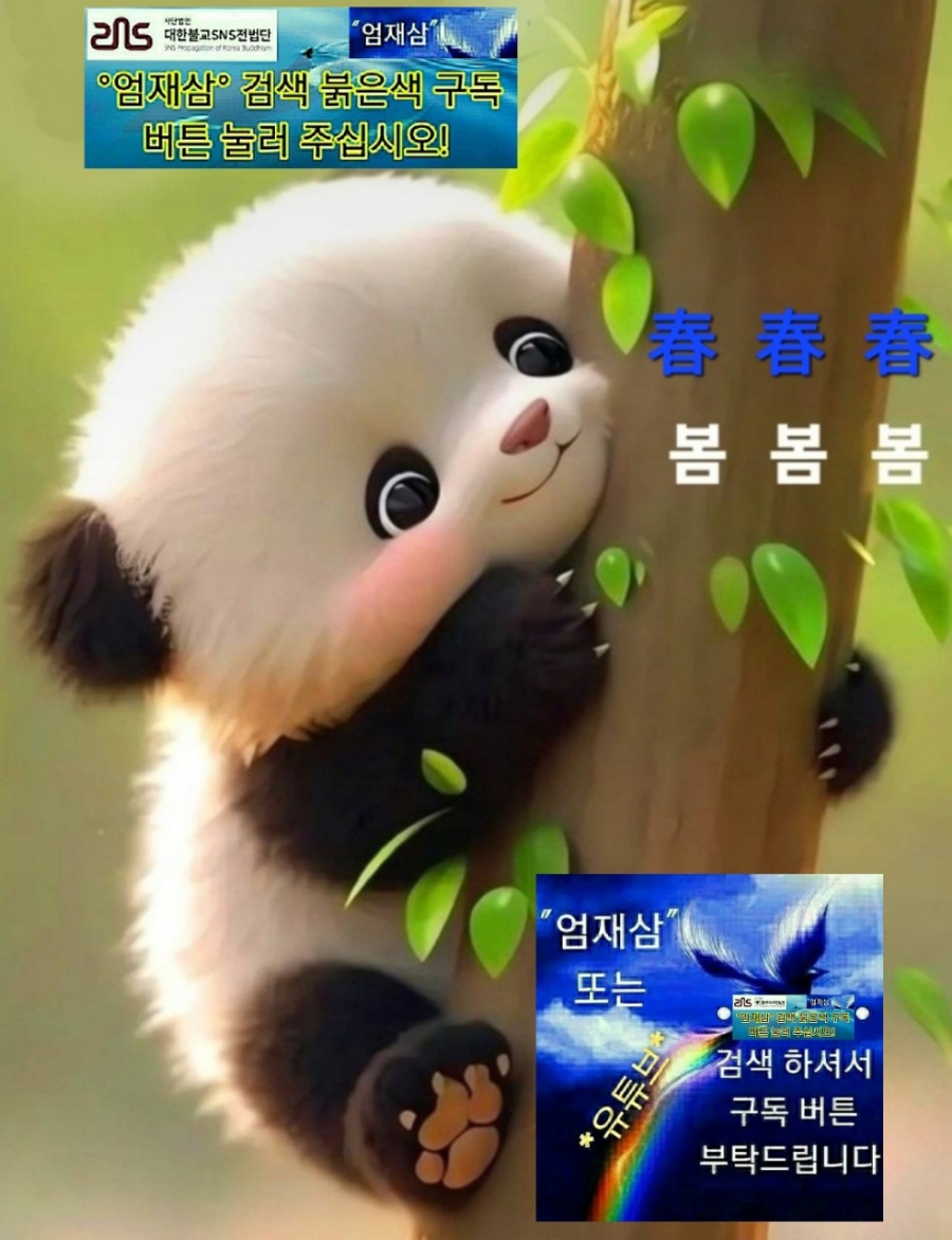 SB광고 이미지