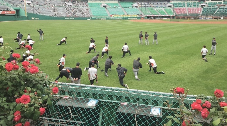 두평반 이미지