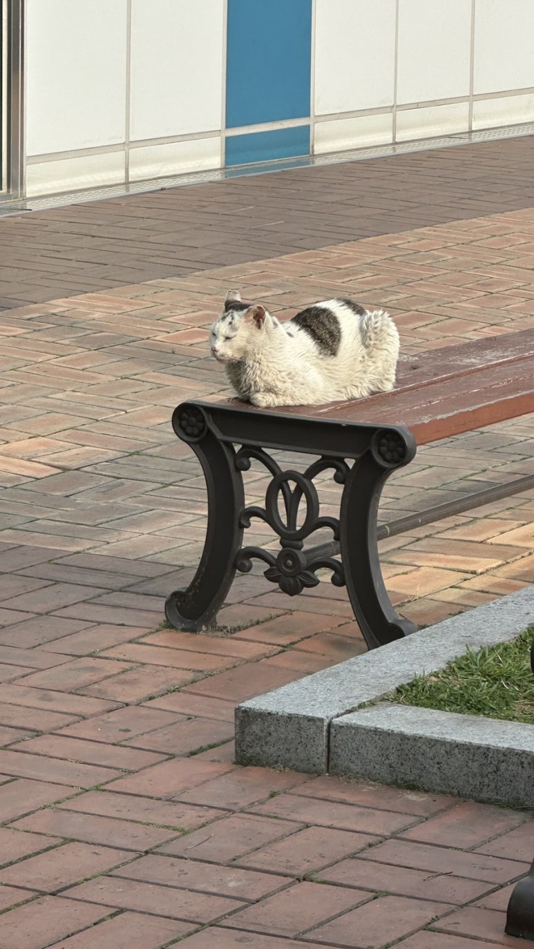 커피베이마산봉암공단점 이미지