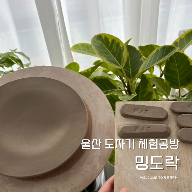 밍도락 이미지