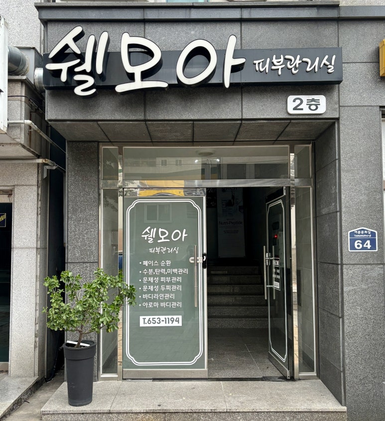 쉘모아 이미지