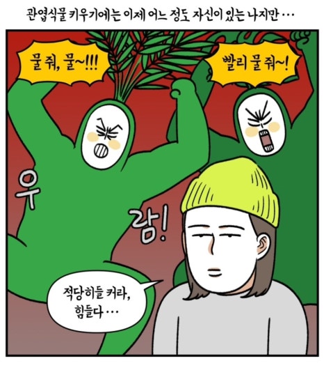정도그린 이미지