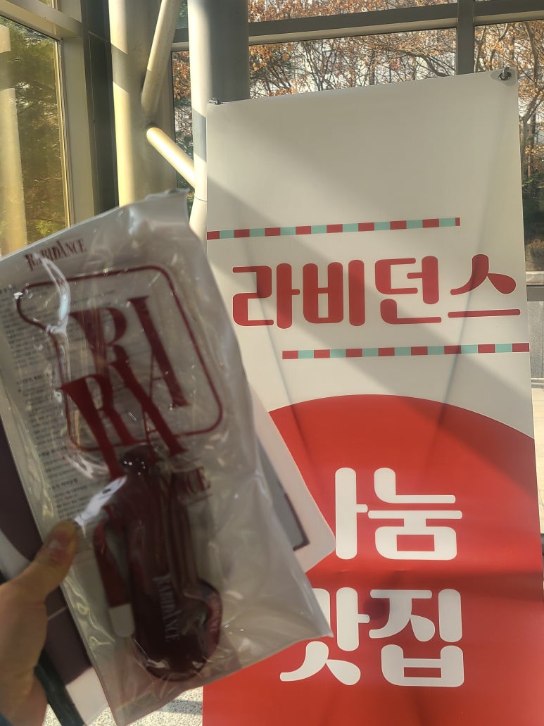 비던스 이미지