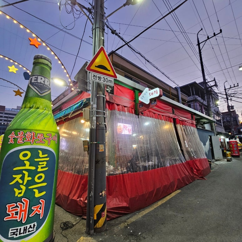 오늘잡은돼지 이미지