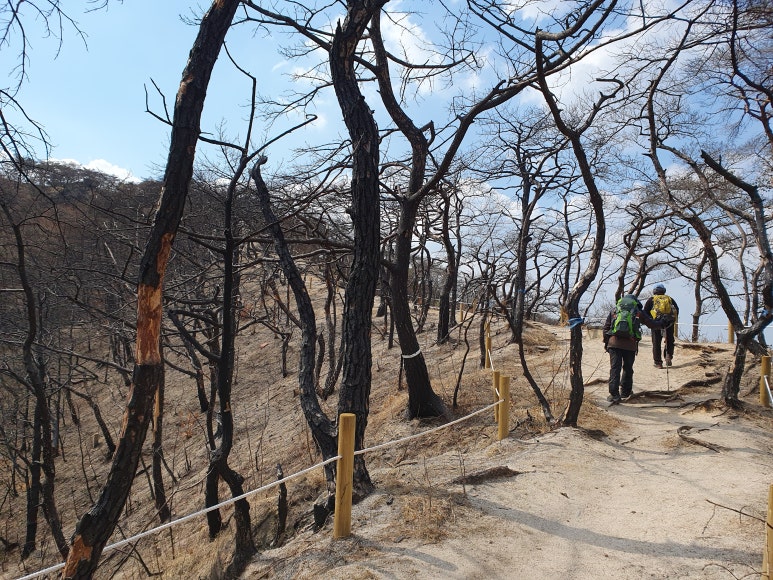 산불진화 고압수관 보관함 이미지