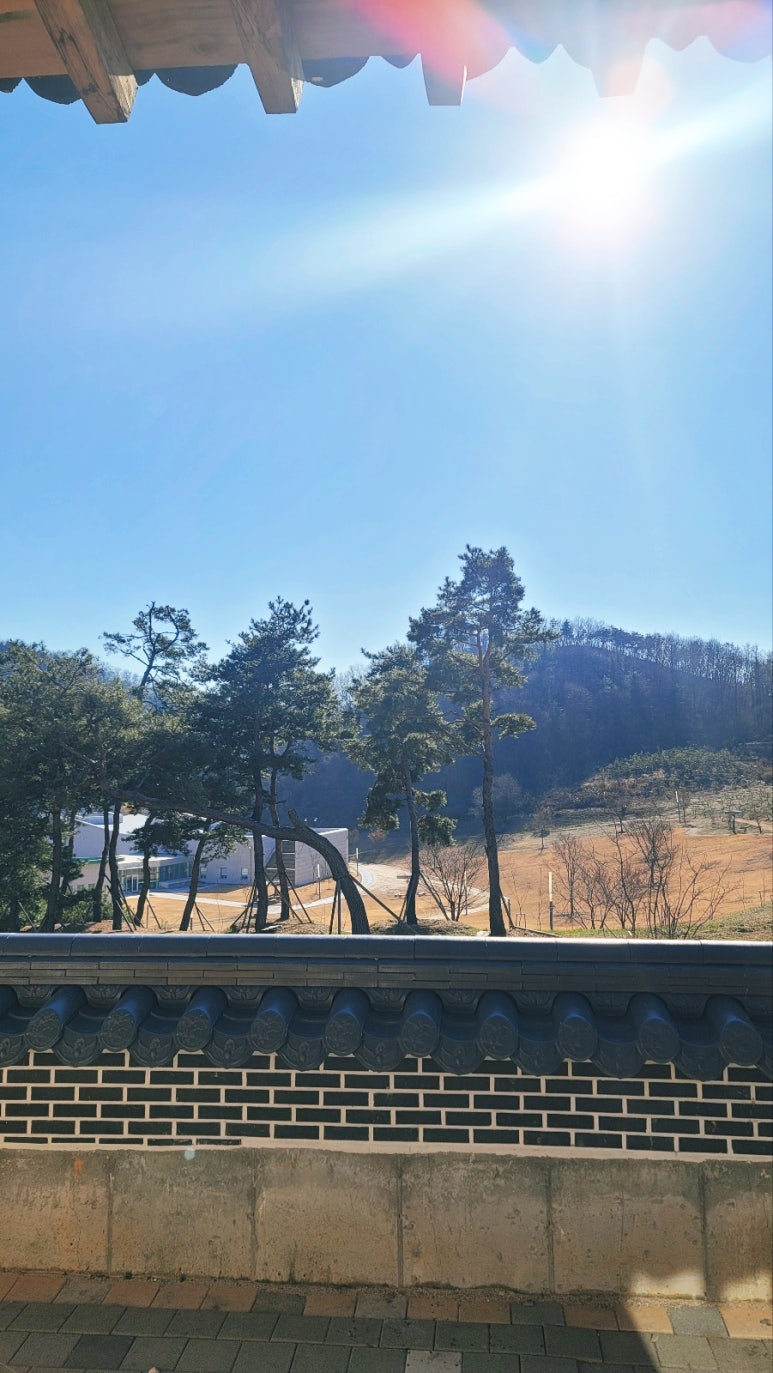 신라방역공사 이미지