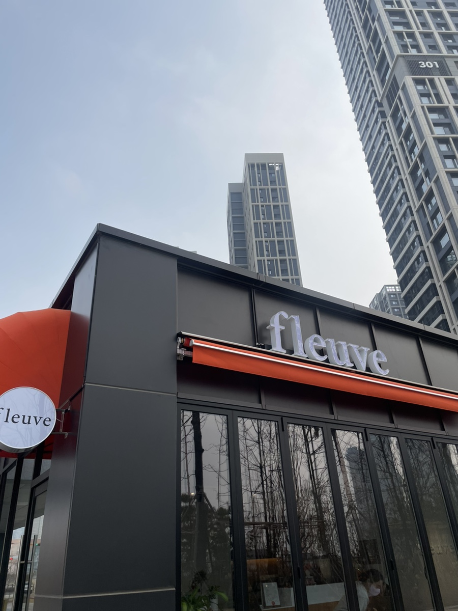 플래브(fleuve) 이미지