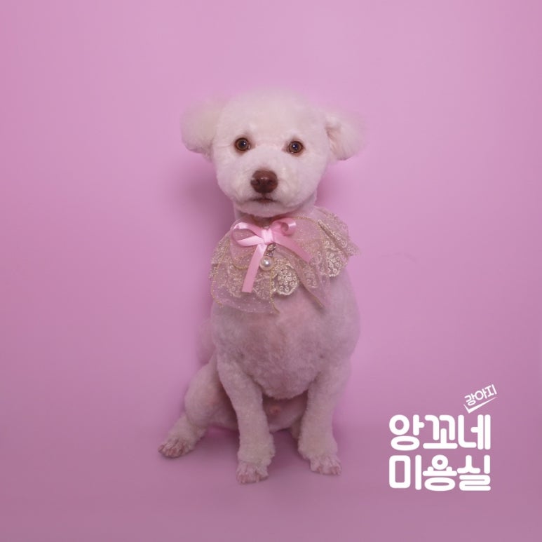 슬림비빔밥 강남점 이미지