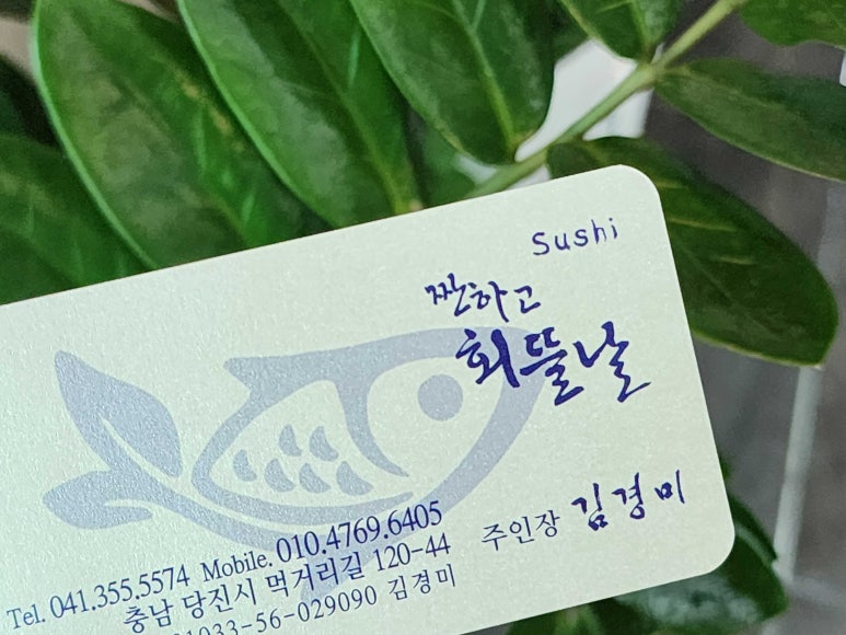 짠하고회뜰날 이미지