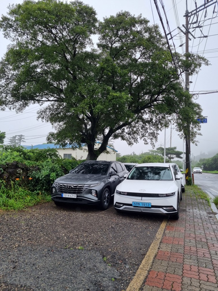 스토브온제주 이미지