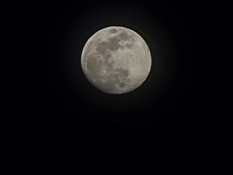 밀밭칼국수 이미지