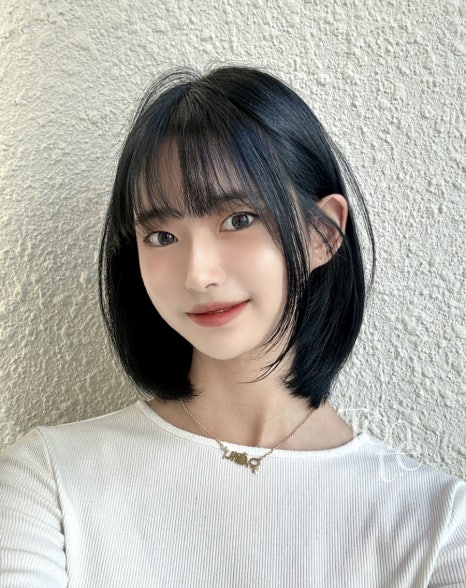 윈드프레시 이미지
