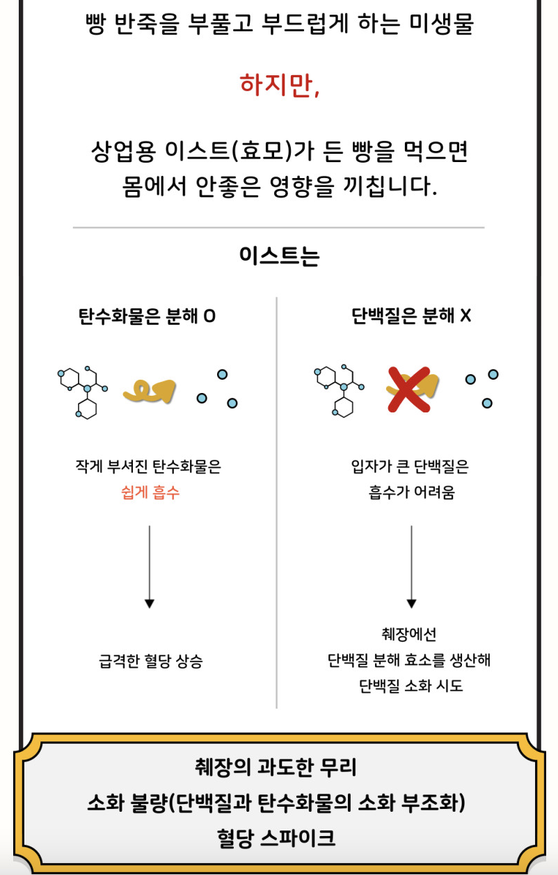 노이스트브레드 이미지