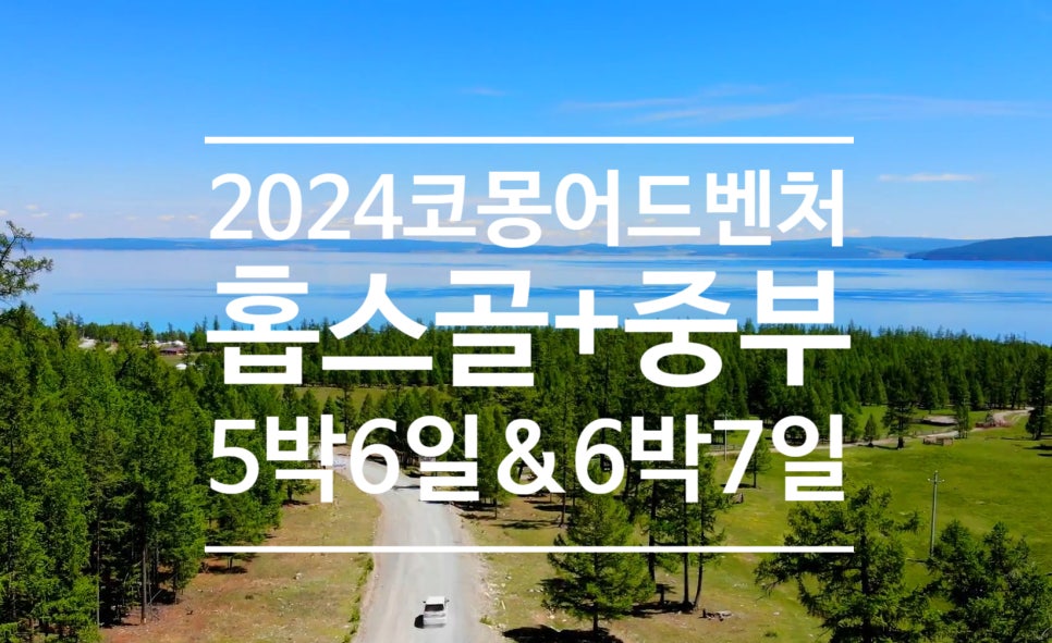 코디여행사 이미지