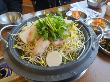 복어학교 이미지