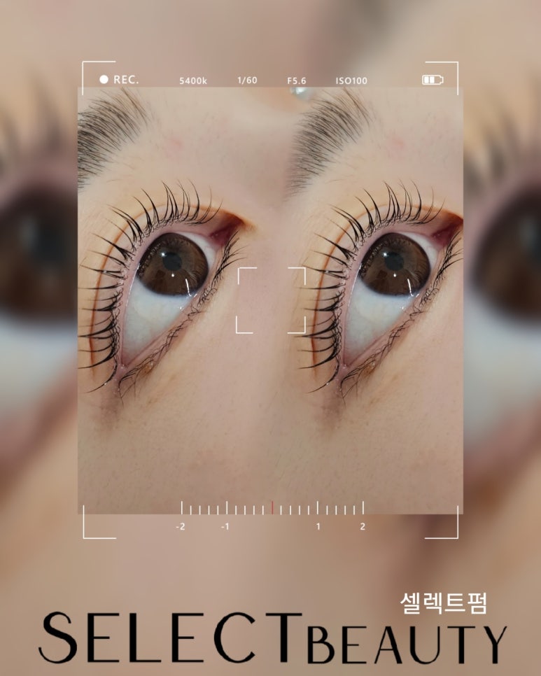 셀렉뷰티 이미지