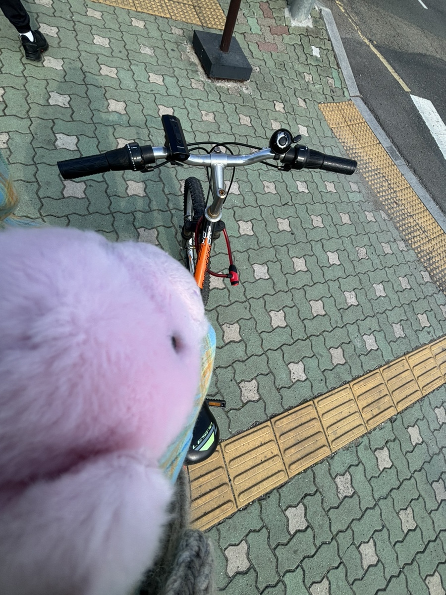 동주김밥 이미지