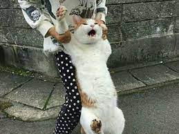 이마켓 이미지