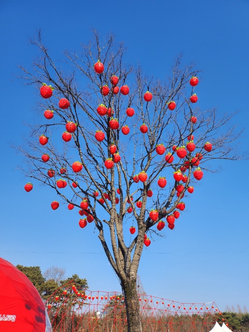 카페띠아모논산연무점 이미지