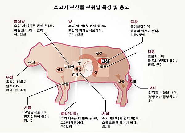 불광동황소곱창 이미지
