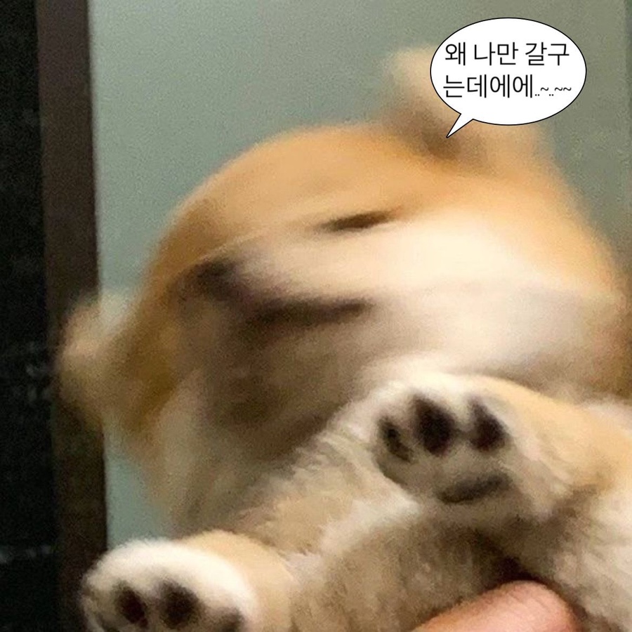 나는너의봄이다 이미지