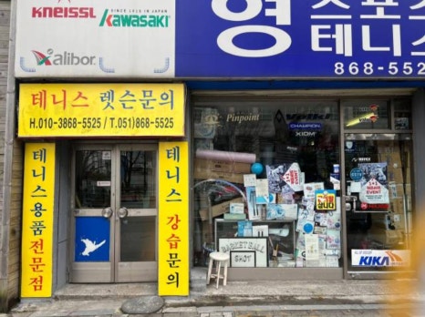 영스포츠 이미지