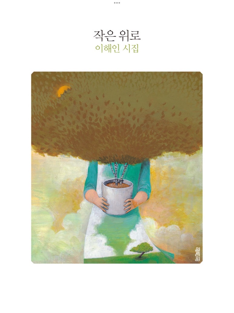모모미 이미지