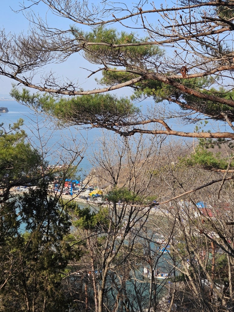 뗌리 이미지