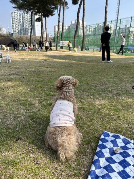불당아재2 이미지